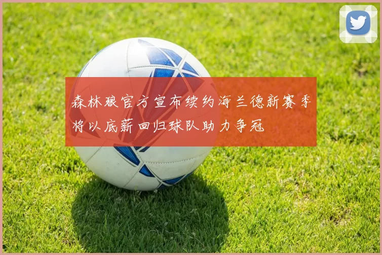 森林狼官方宣布续约海兰德新赛季将以底薪回归球队助力争冠